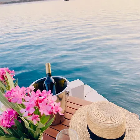 House Paula Daire Klek